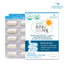 파마젠 유산균의 아침 500mgx60캡슐 1박스 2개월 41844