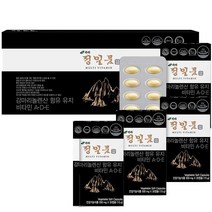 - 아토피 REXFLO 렉스플로 업그레이드 정일품 영양제, 500mg*30정 4box