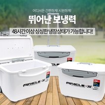 디카운티 아이스박스 아이스쿨러 감성 캠핑 레저 낚시 차박 바퀴 캐리어형 손잡이 보냉 24리터, 화이트