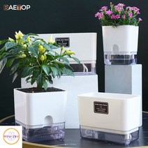 수경재배키트 가정용스마트팜 딸기수경재배 식물생장등 수경재배새싹삼 식물키우기 수경화분 새싹삼키우기, Square-S, 4 Packs