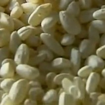누룩소금 쌀요거트 제조용 쌀누룩(입국) 500g, 2팩