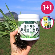 순수 제주 새싹보리 분말 에어분쇄 저온건조 보리어린잎 자연밭담, 2개, 340g