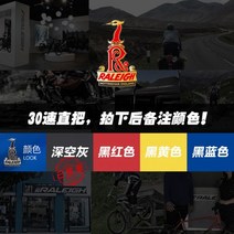 영국 raleigh 사바파이크 자이언트 몽구스 자전거 inch, 단일사이즈, 알루미늄 30단10