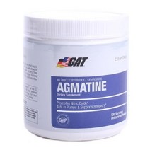 갓스포츠 아그마틴 언플레이버드 파우더, 100개입, 2개