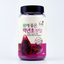 제주 백년초 열매 분말 200g, 1개