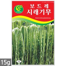 백작두콩 씨앗 10립 - 작두콩 작두콩씨앗 작두콩씨 콩씨앗 콩씨 씨 주말농장 텃밭, 12_시래기무(15g)