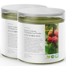 닥터비옴 100% 유기농 꾸지뽕 분말 100g x 2개