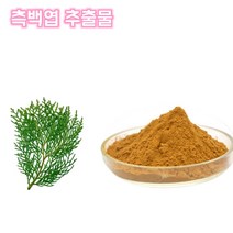 영진 측백엽 측백엽 분말 측백엽 가루 측백엽 추출물 농축 한방 차 건강분말, 10:1, 1봉, 200g