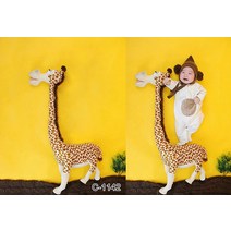신생아 본아트 50일 100일셀프촬영 스튜디오 아기 사진 배경지, 상세페이지 참조, 상세페이지 참조, U1타입