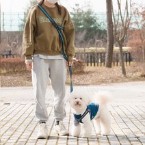 바라바 강아지 리드줄 자동 산책줄 워킹 애견 반려견 핸즈프리 줄, L312_핸즈프리 허리 리드줄 그린