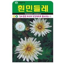 흰민들레용량 후 구매간에 좋은 최고의 민간약초로 불리우는 2000립