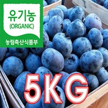 유기농인증 블루베리 냉동 대과 당일수확 농장직송, 1개, 5kg