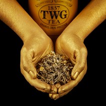 TWG Tea 잎차(100g) - 1837블랙 실버문 크림카라멜 프렌치얼그레이 카모마일 그랜드웨딩 화이트스카이 잉글리쉬 그린티, 1837 Green tea 100g