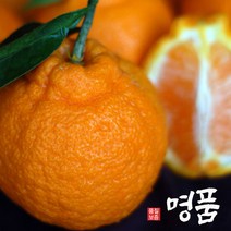 품질우량 제주한라봉, 1박스, 10kg 중대과(36~48수)