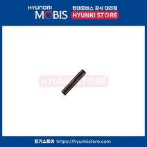 핀인서트 키 (819262L000)