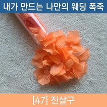 내가 만드는 나만의 플라워샤워 폭죽 [웨딩폭죽 플라워샤워폭죽 공기압폭죽), 47. 진살구