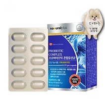 캐나다 프로바이오틱 100억 혼합유산균 장건강관리 40대여성 50대여성 50대남성 60대여성 30대남성 건강식품 부모님