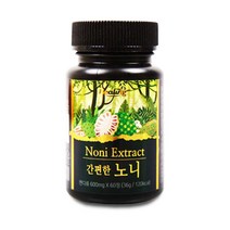 힐링 노니추출물분말 노니정 프로제로닌 노니열매 초간편노니 라이신 트립토판 비타민E 60정, 1병