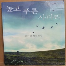 높고 푸른 사다리/공지영.한겨레 .2013