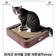 밥안먹는강아지 식욕저하고양이입맛개선하는애묘간식 강아지통조림 강아지건강간식 애견쇼핑몰 애견통조림 강아지건강식 댕댕이간식 애견캔, 1개, 1개 연어앤장어