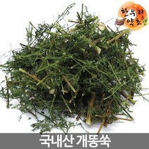 국내 자연산 개똥쑥 300g, 개똥쑥300g
