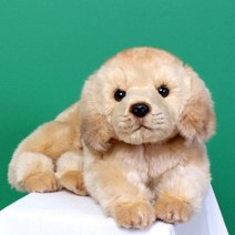 위더펫 강아지 고양이 호랑이 애착 동물 캐릭터 인형, 20cm, 01.위더펫-골든리트리버(라잉)
