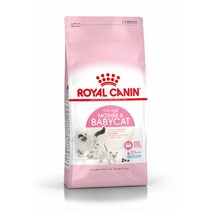 로얄캐닌 고양이 사료 마더 앤 베이비캣 10kg, 1개
