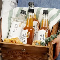 생강진액 1000ml x 2, 단품