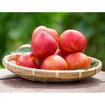 생산자 직접판매 2kg 밀양자두 추희 햇자두 후무사 대석 피자두 프리미엄 임산부 제철과일 김천 의성, 자두, 1개