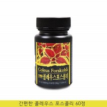 콜레우스포스콜리정 콜레우스 포스콜리 추출물 분말 환 콜레우스포스콜린