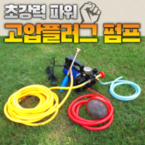 이동형 고압 양수기 펌프 12V48V60V220 볼트 고전압 농업용 전기 분무기 농약 제초제 살충제 방제 방역 살포기, 24V 플런저 펌프 20m 고압 튜브