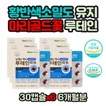 수험생 직장인 장시간 휴대폰 사용 책 읽기 눈 영양제 호모시스테인 카로티노이드 메리골드꽃 마리골드꽃 중장년층 노년기 대두레시틴 셀레늄 밀납 나이아신 미네랄 건강기능식품