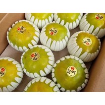 아삭아삭 달콤한 창원 태추단감 5kg (당도 15brix이상), 1, 10월 4일 출고 M사이즈 중과 (24-26)