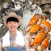 먹사부 태안 국산 활 생물 꽃게 냉동 꽃게 암꽃게 숫꽃게 찜용 랜덤 서해안 소 중 대 특대 얼음 톱밥포장 주문 박스 1kg 2키로 3킬로, (1). [프리미엄] <얼음포장> 활꽃게” class=”wr-img”></a></div>
</div>
</div>
</div>
<div class=