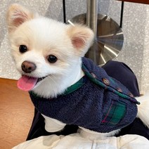 강아지할매조끼 강아지 할머니조끼 방한복 털옷 개타고니아 옷 후리스 체크, 그린2XL