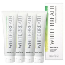 메디안 화이트브레스 미백치약 플럼민트향 100g X 4개