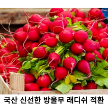 국내산 신선한 래디쉬 300g 500g 1kg 2kg 국산 싱싱한 적환무 방울무 래디시 적환 레디쉬 빨간무 생레데쉬 샐러드채소, 1.8~2kg