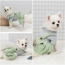 그린 강아지멜빵 스트라이프 올인원 애견의류 닥스훈트옷 토이푸들옷 오버롤 외출복 겨울옷 팬츠 내복, 이백프로 쿠팡 L