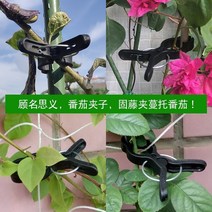10PC 재사용 가능한 식물 클립 지원 야채에 대 한 고정 된 클램프 꽃 줄기 덩굴 직선 원 예 Greenhous 액세, 한개옵션0