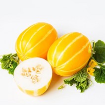 신선코리아 성주참외 산지직송 못난이 가정용 고급 선물용 황금참외 1kg 2kg 5kg 10kg, 선물용 고급품, 4kg