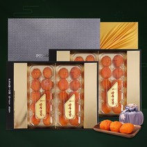 다농이네 상주곶감 프리미엄 왕 반건시 선물세트 다농감동2호 x2세트