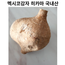 국내산 멕시코감자 히카마 3kg 5kg 10kg 히까마 작은 사이즈 국산 신품종 감자