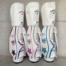 골프 표준 캐디백 프로백 남녀 공용 방수 내마모 자외선 차단 표준 캐디백 간편식 스틱백, 흰가루