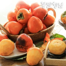 대봉감 5kg (17-20과) 떫은 땡감 전라도 대봉시, 단품