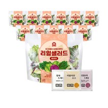 미트리 리얼 샐러드 플렌티, 70g. 12팩