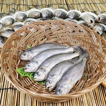 [구정선물세트]고소한 맛이 일품인 법성포 영광 굴비, 선물포장, 2.0kg, 1개