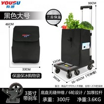 구르마 손수레 카트 수동지게차 파레트 공사용 대차 동력 전동 이동 운반차, 10