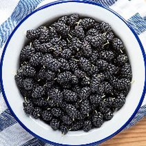 영광 청일뽕오디 오디생과 5kg 제철 냉동, 단품