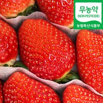 (자연마을) 고령 고당도 무농약 금실딸기 960g (480g*2팩), 무농약 금실딸기 960g (480g 2팩)