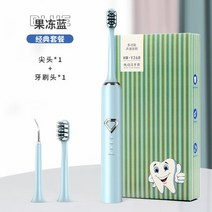 전동칫솔 초음파 전기 치석 제거 치아 클리너 방수 자동 칫솔 구강 관리, [06] A6